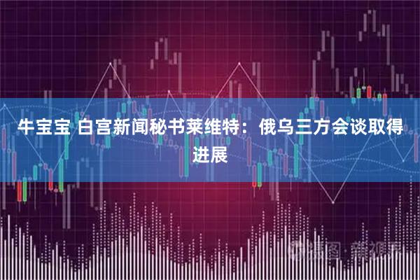 牛宝宝 白宫新闻秘书莱维特：俄乌三方会谈取得进展
