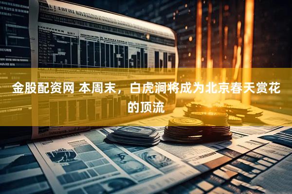 金股配资网 本周末，白虎涧将成为北京春天赏花的顶流