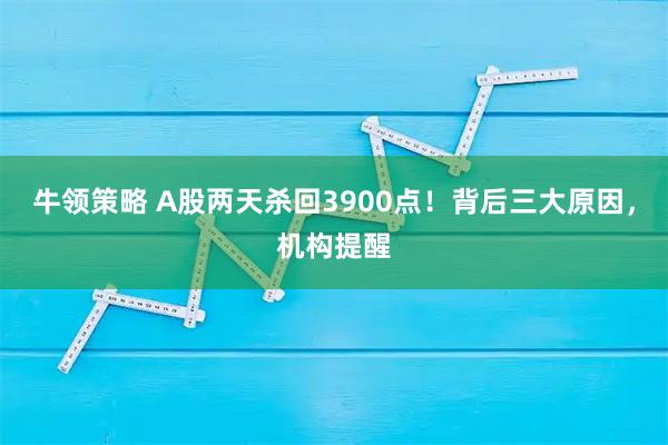 牛领策略 A股两天杀回3900点！背后三大原因，机构提醒