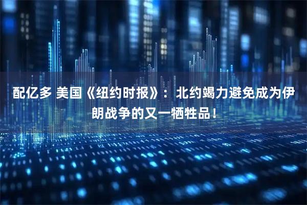 配亿多 美国《纽约时报》：北约竭力避免成为伊朗战争的又一牺牲品！
