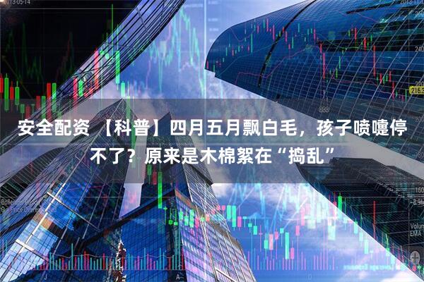安全配资 【科普】四月五月飘白毛，孩子喷嚏停不了？原来是木棉絮在“捣乱”