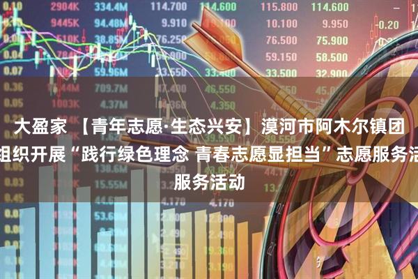 大盈家 【青年志愿·生态兴安】漠河市阿木尔镇团委组织开展“践行绿色理念 青春志愿显担当”志愿服务活动