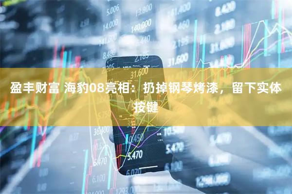 盈丰财富 海豹08亮相：扔掉钢琴烤漆，留下实体按键