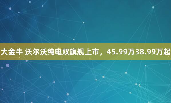 大金牛 沃尔沃纯电双旗舰上市，45.99万38.99万起