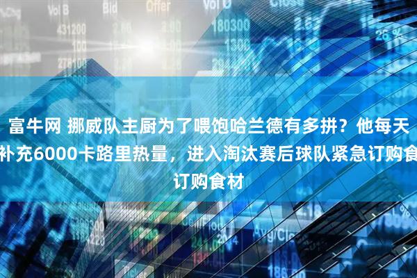 富牛网 挪威队主厨为了喂饱哈兰德有多拼?他每天要补充6000卡路里热量,进入淘汰赛后球队紧急订购食材