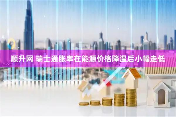 顺升网 瑞士通胀率在能源价格降温后小幅走低