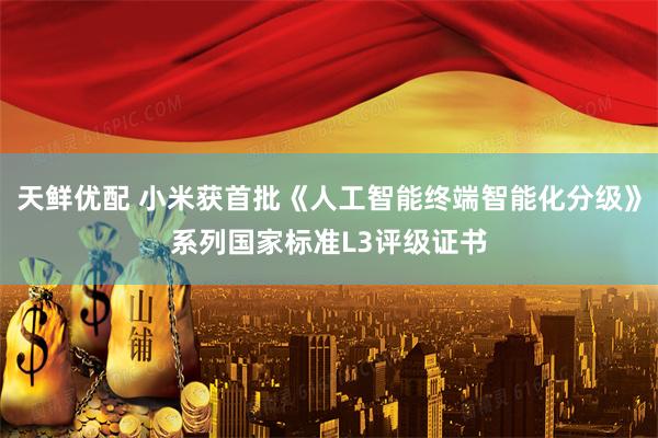 天鲜优配 小米获首批《人工智能终端智能化分级》系列国家标准L3评级证书