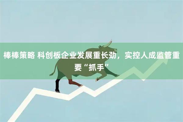 棒棒策略 科创板企业发展重长劲，实控人成监管重要“抓手”