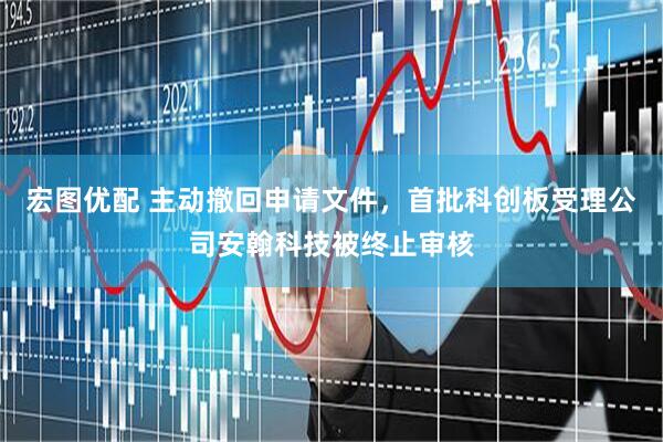 宏图优配 主动撤回申请文件，首批科创板受理公司安翰科技被终止审核