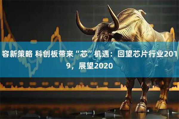 容新策略 科创板带来“芯”机遇：回望芯片行业2019，展望2020