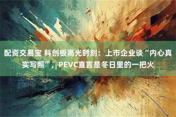配资交易宝 科创板高光时刻：上市企业谈“内心真实写照”，PEVC直言是冬日里的一把火
