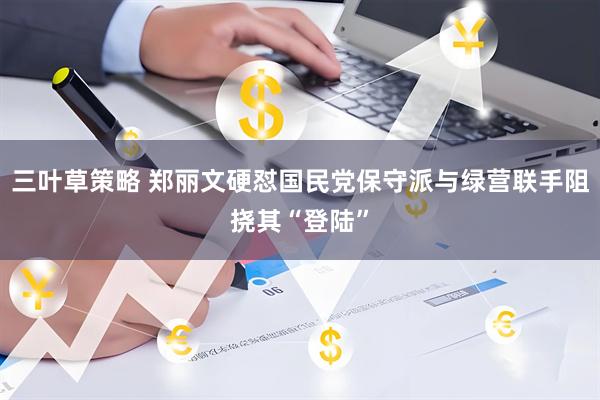 三叶草策略 郑丽文硬怼国民党保守派与绿营联手阻挠其“登陆”