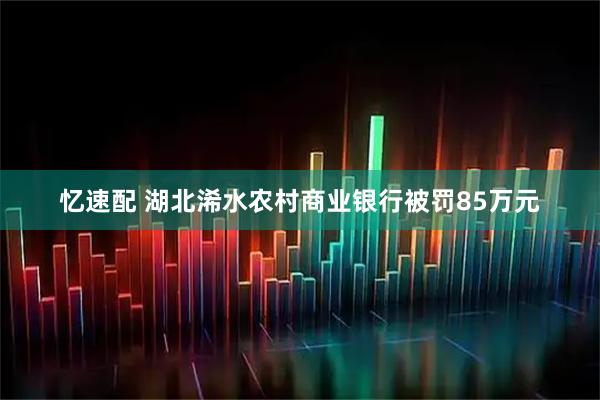 忆速配 湖北浠水农村商业银行被罚85万元