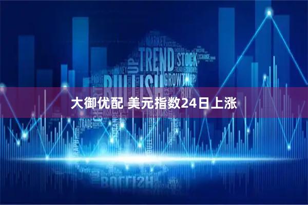 大御优配 美元指数24日上涨