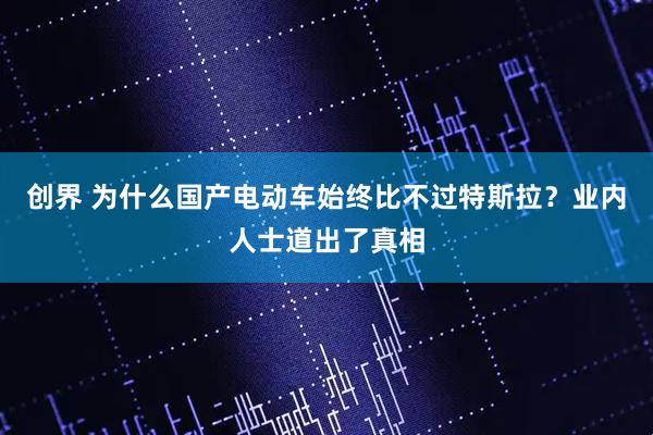创界 为什么国产电动车始终比不过特斯拉？业内人士道出了真相