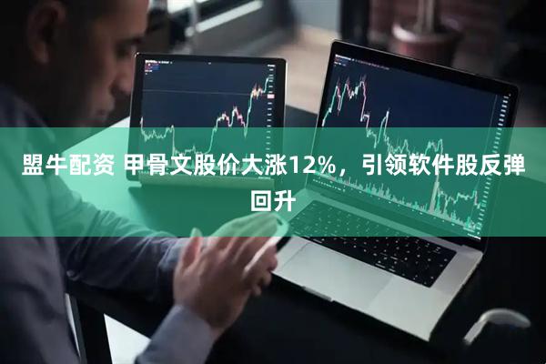 盟牛配资 甲骨文股价大涨12%，引领软件股反弹回升