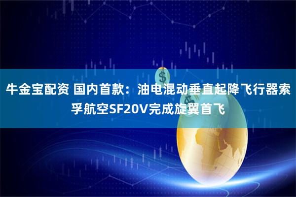 牛金宝配资 国内首款：油电混动垂直起降飞行器索孚航空SF20V完成旋翼首飞