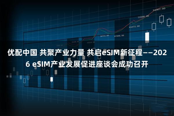 优配中国 共聚产业力量 共启eSIM新征程——2026 eSIM产业发展促进座谈会成功召开