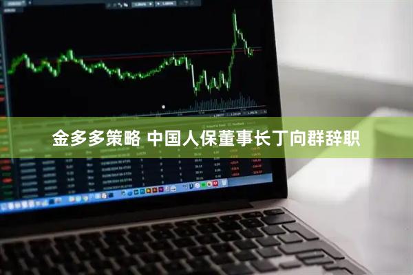 金多多策略 中国人保董事长丁向群辞职