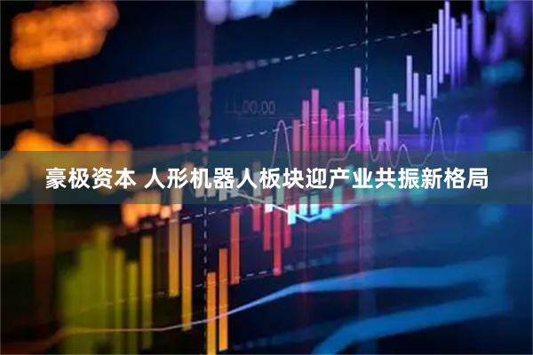 豪极资本 人形机器人板块迎产业共振新格局