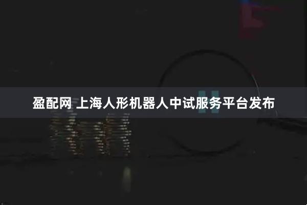 盈配网 上海人形机器人中试服务平台发布